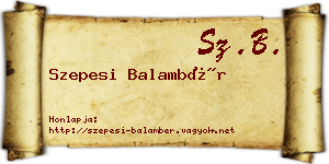 Szepesi Balambér névjegykártya